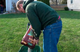 Best Insecticide for Grubs