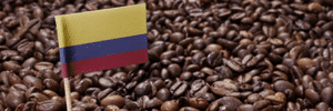 Premium Colombian Beans