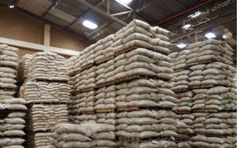 Green Coffee per Container