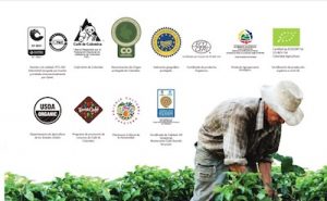 All about Colombian Coffee